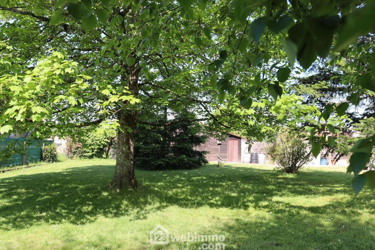 Beau volume pour une construction moderne. - Terrain à SAINT-HILAIRE-LA-FORET