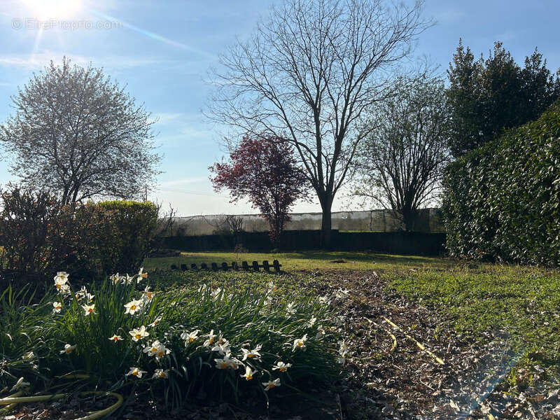 Maison à la campagne - photo 13