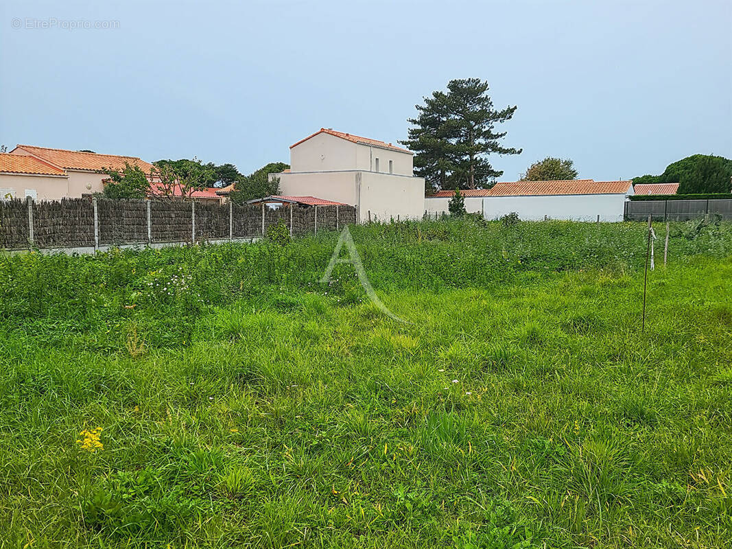 Terrain à NOTRE-DAME-DE-MONTS