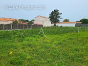 Terrain à NOTRE-DAME-DE-MONTS