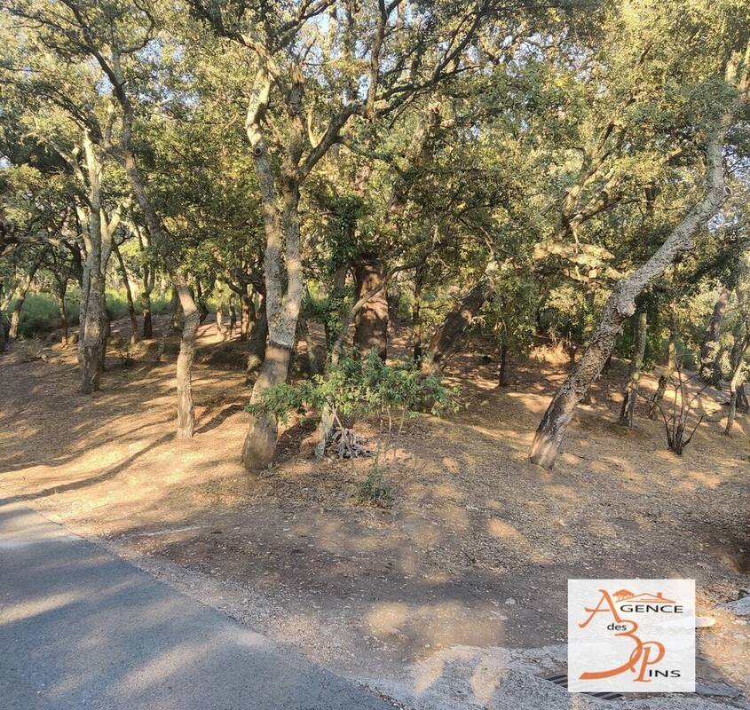 Terrain à COLLOBRIERES