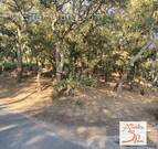 Terrain à COLLOBRIERES