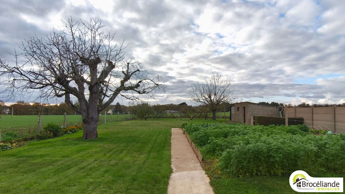 Maison à SAINT-GILLES