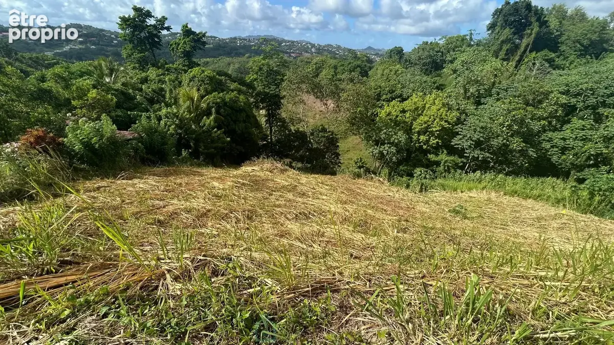 Terrain 800 m² à vendre à Riviere-Salee (97215) - photo 5