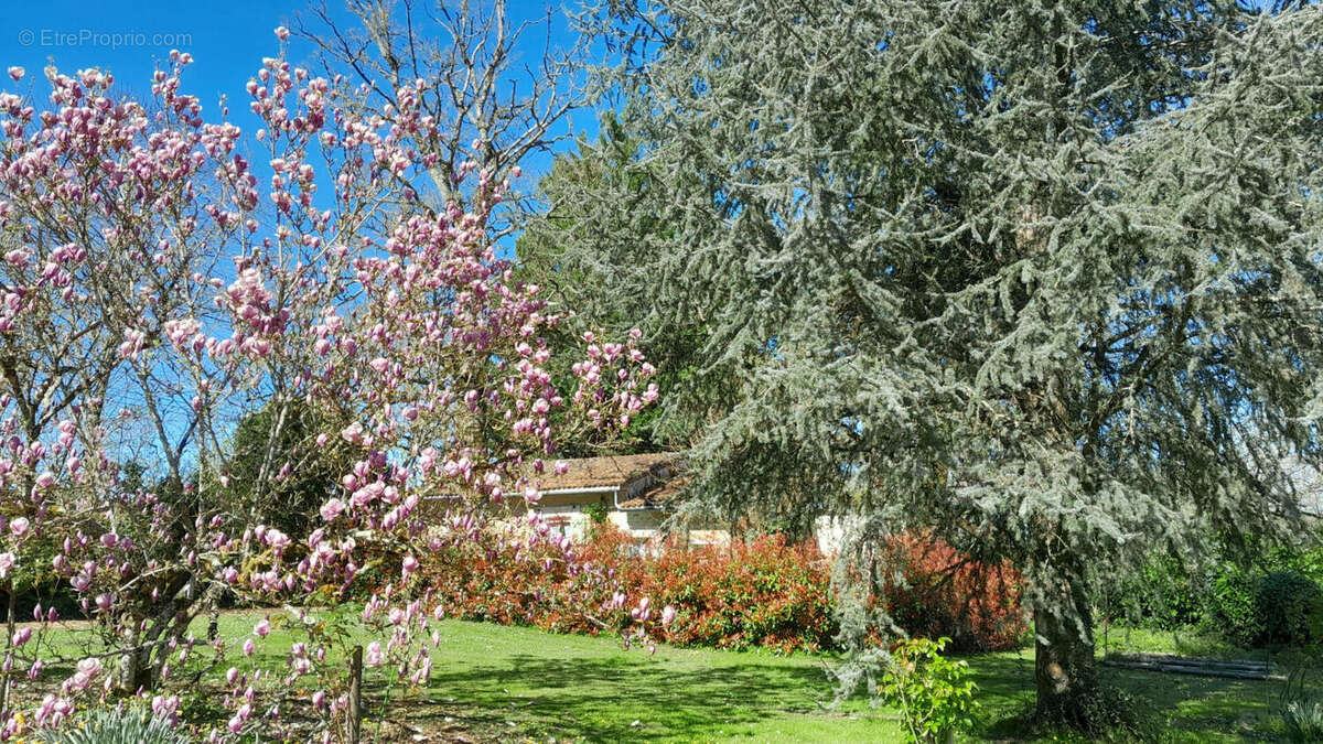 GROUNDS - Maison à CONDAC