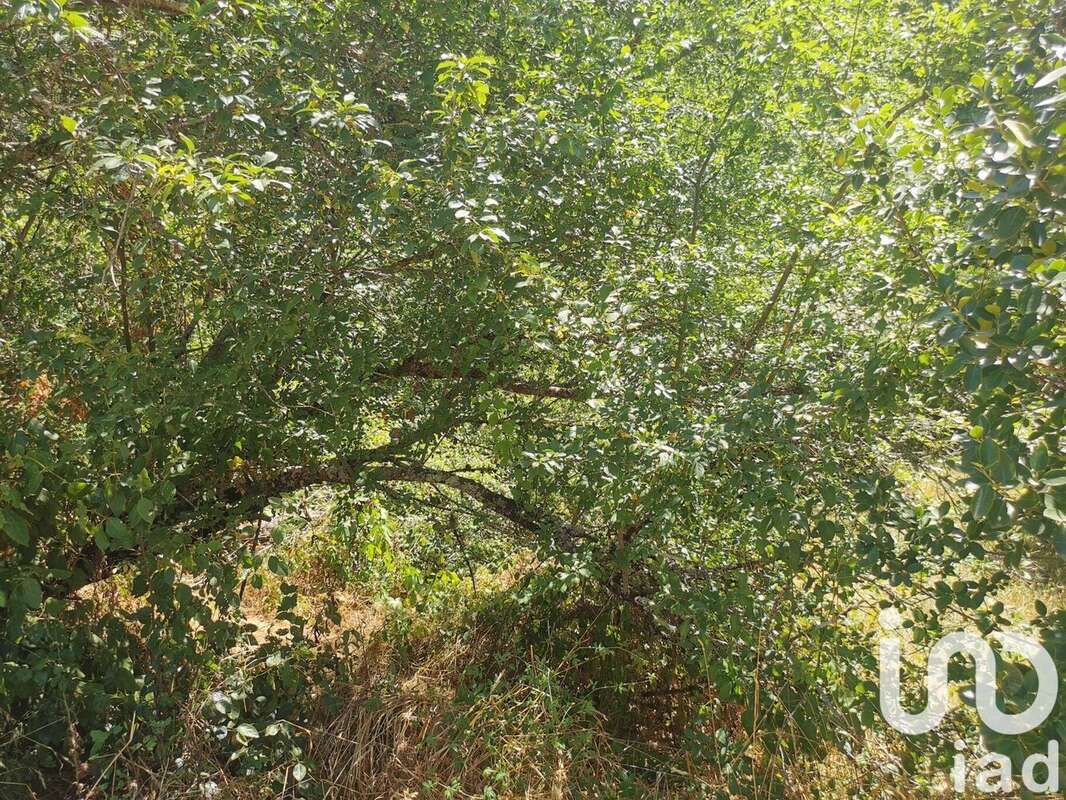 Photo 7 - Terrain à CENNE-MONESTIES