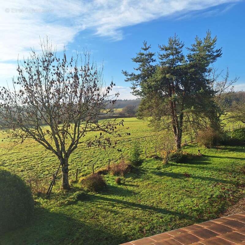 Photo 5 - Maison à SAINT-EMILAND