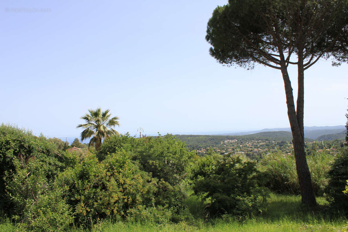 Vence - terrain à bâtir - 2034m2 - photo 7