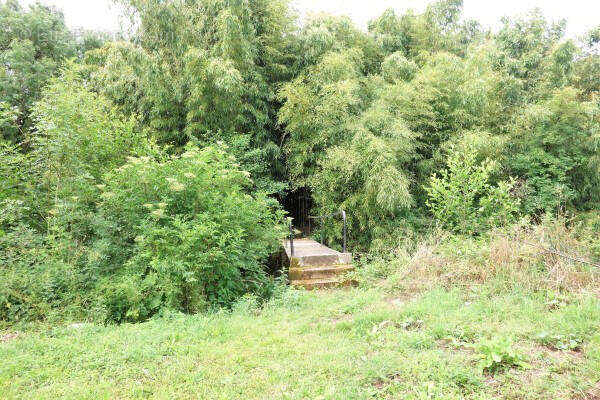 ISLAND - Maison à CHARROUX
