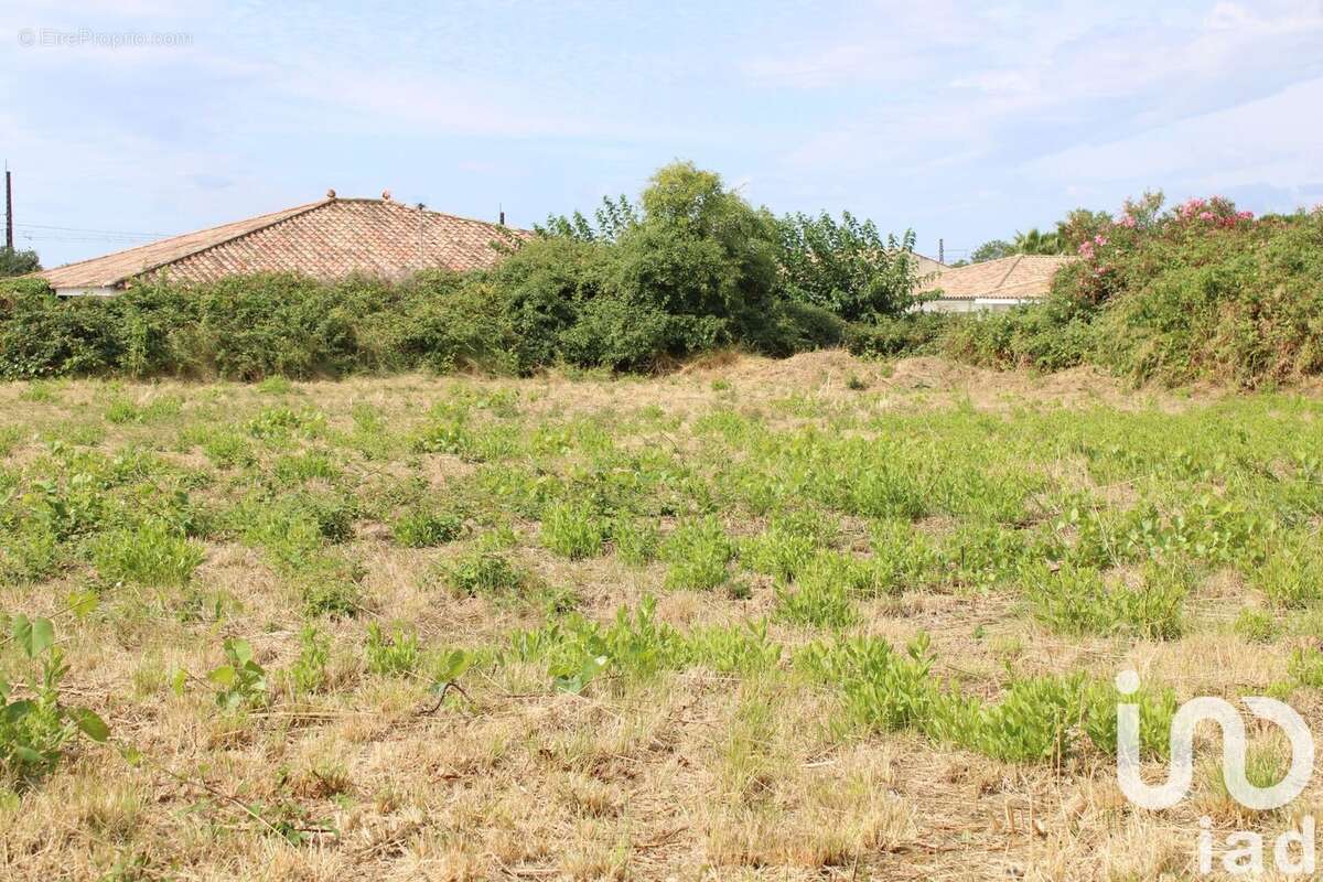Photo 4 - Terrain à VILLENEUVE-LES-BEZIERS