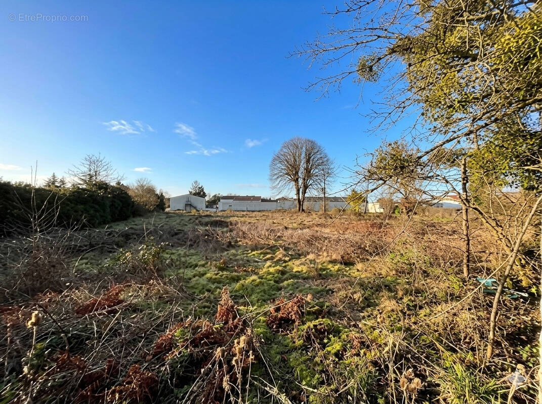 Terrain à SAINT-GEORGES-DES-COTEAUX
