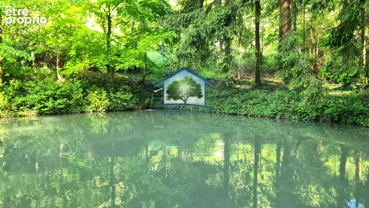 Mitschdorf - hangar + etang - photo 3