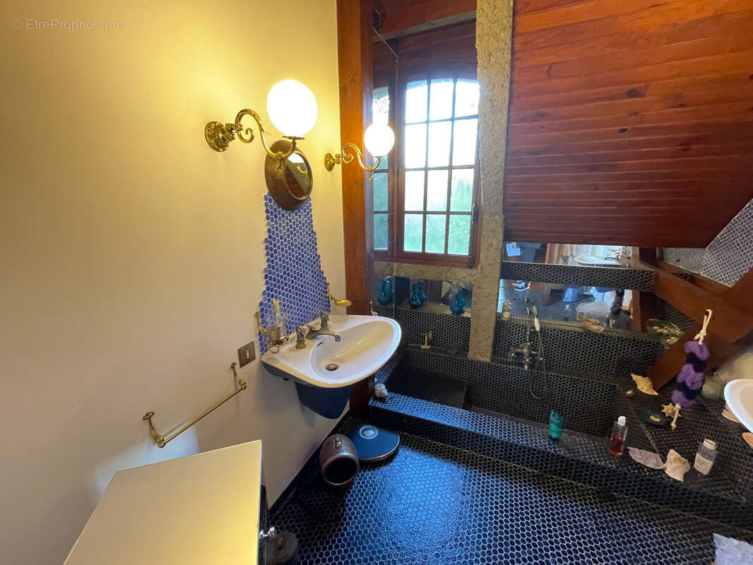 Maison Propriété à vendre proche Toulouse 31860 Labarthe sur Lèze - photo 7