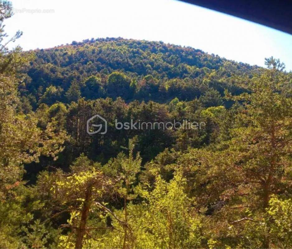 Terrain à LE CASTELLET