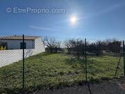 Terrain à LA MOTHE-ACHARD