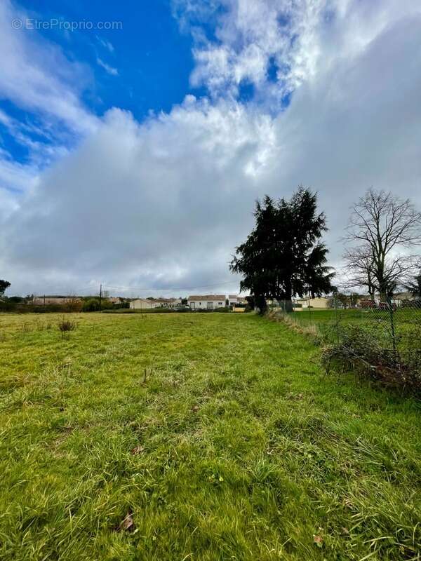 Terrain à bâtir viabilisé de 816 m² à Saint-Sardos (82) – proche Montech - photo 4