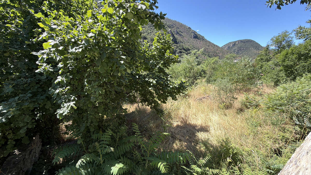 Villefranche-de-Conflent   Une maison de caractère au cœur d'un village chargé d'histoire - photo 36