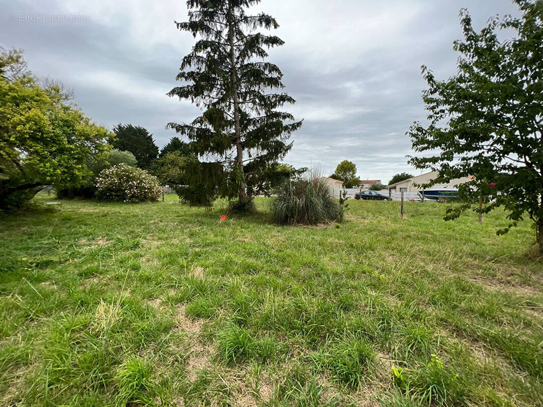 Terrain à ARVERT