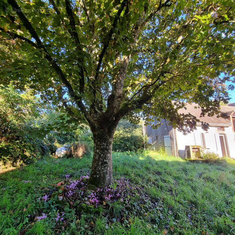 Maison avec grange à porteau ! - photo 19