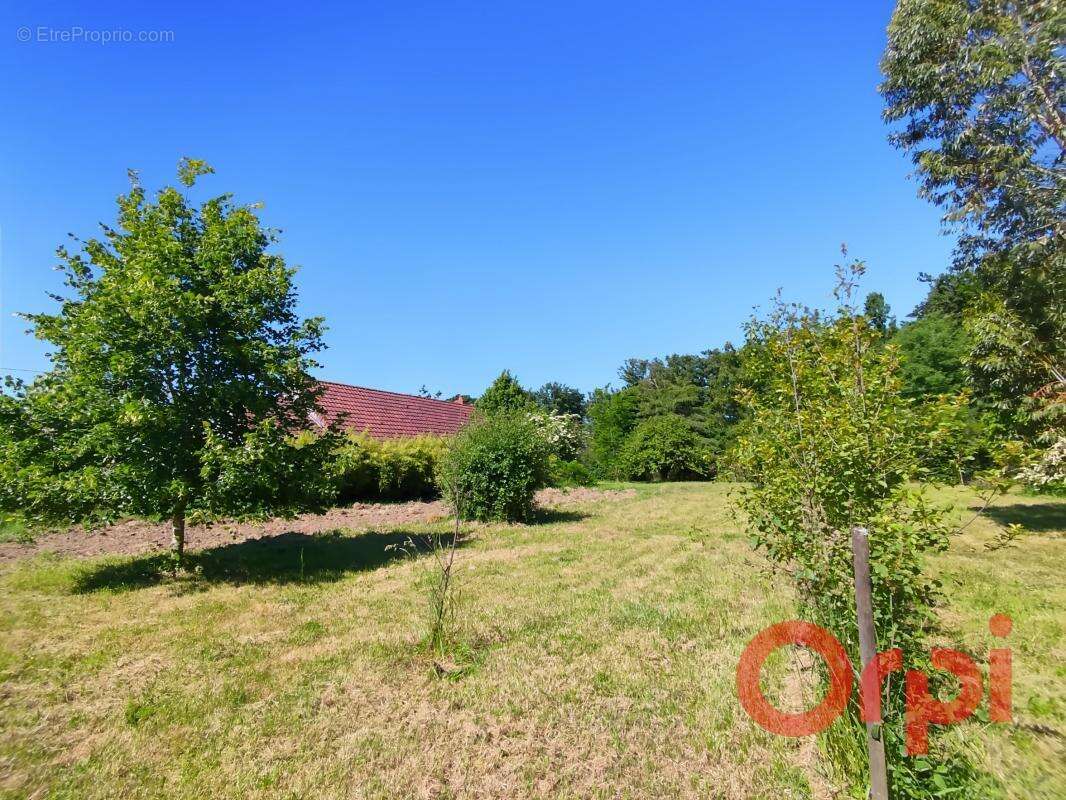 Maison Rustique en pleine nature - À Vendre à COULEUVRE-CÉRILLY - photo 9