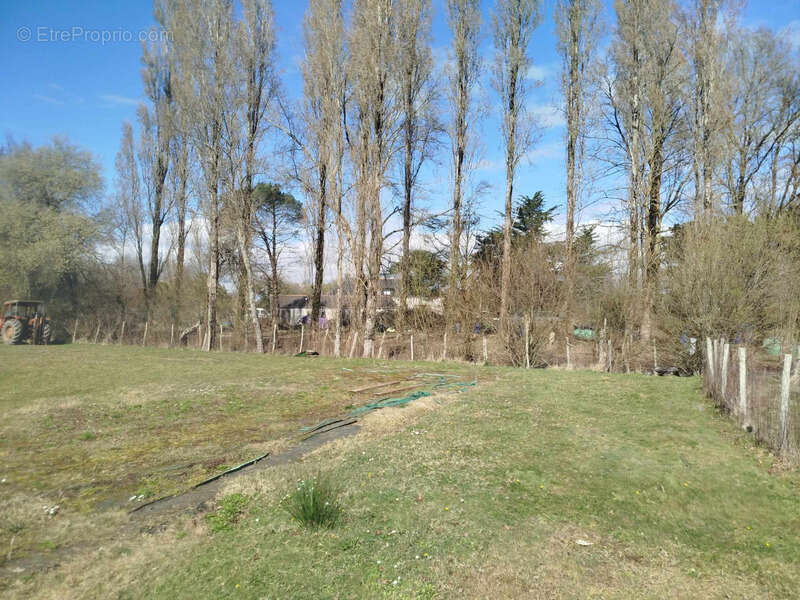 Terrain de loisir 11260 m² - photo 4