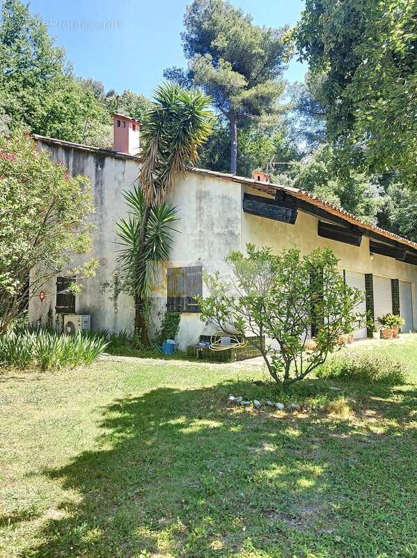 EXCLUSIVITÉ : Terrain d’Exception à Saint‑Paul‑de‑Vence (06) - photo 3