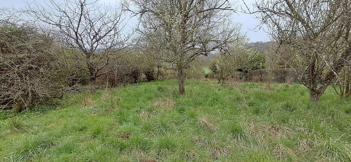 Terrain à BALAIVES-ET-BUTZ