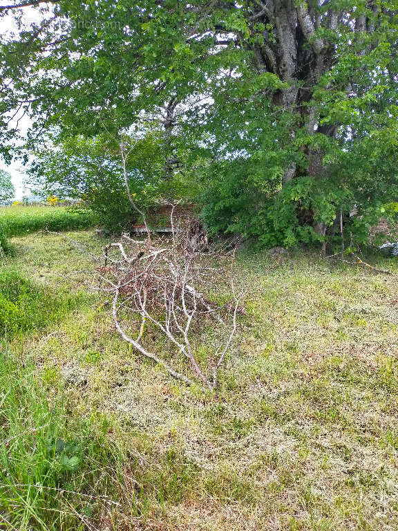 Maison à CELLES-SUR-DUROLLE