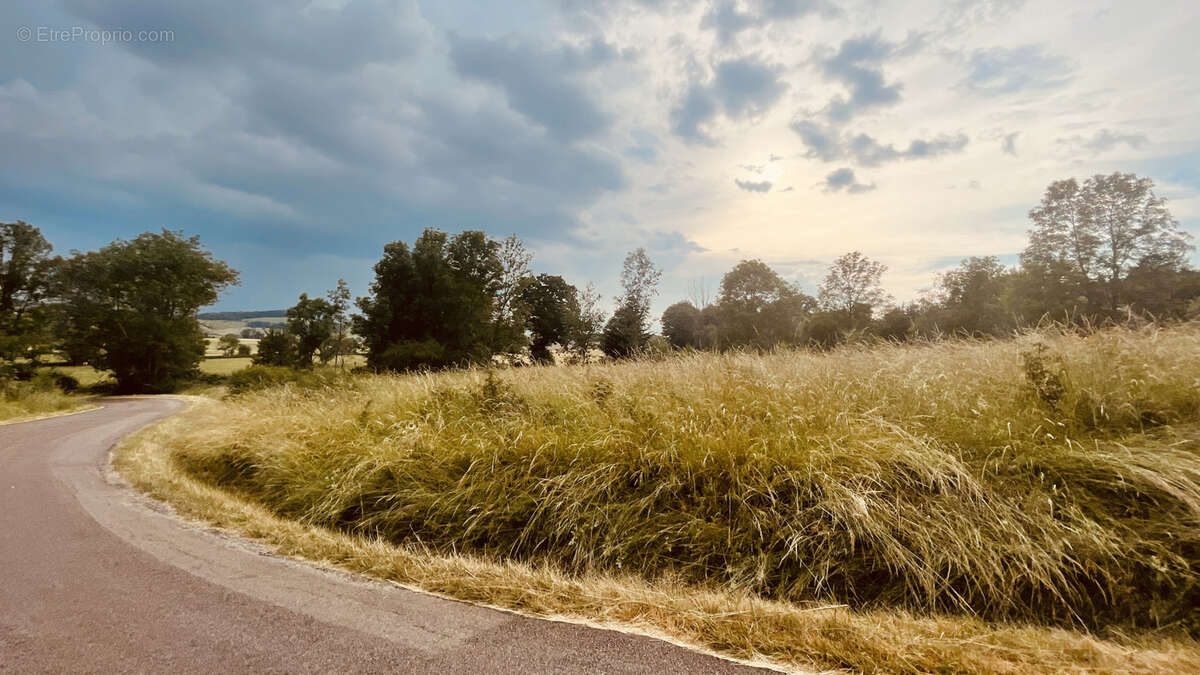 Terrain de loisirs de 2880 m2 avec vue dégagée sur la nature 18 000 € - photo 11