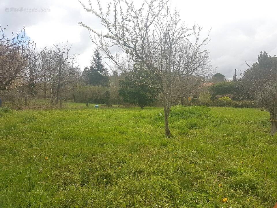 Terrain 955 m² à Villeneuve-Tolosane  - photo 1