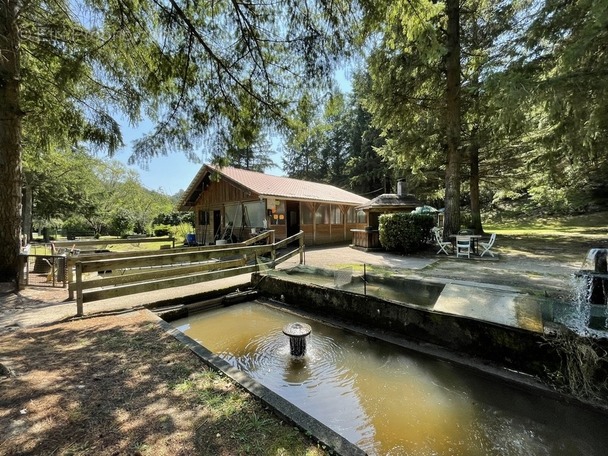 Maison à LE PALAIS-SUR-VIENNE