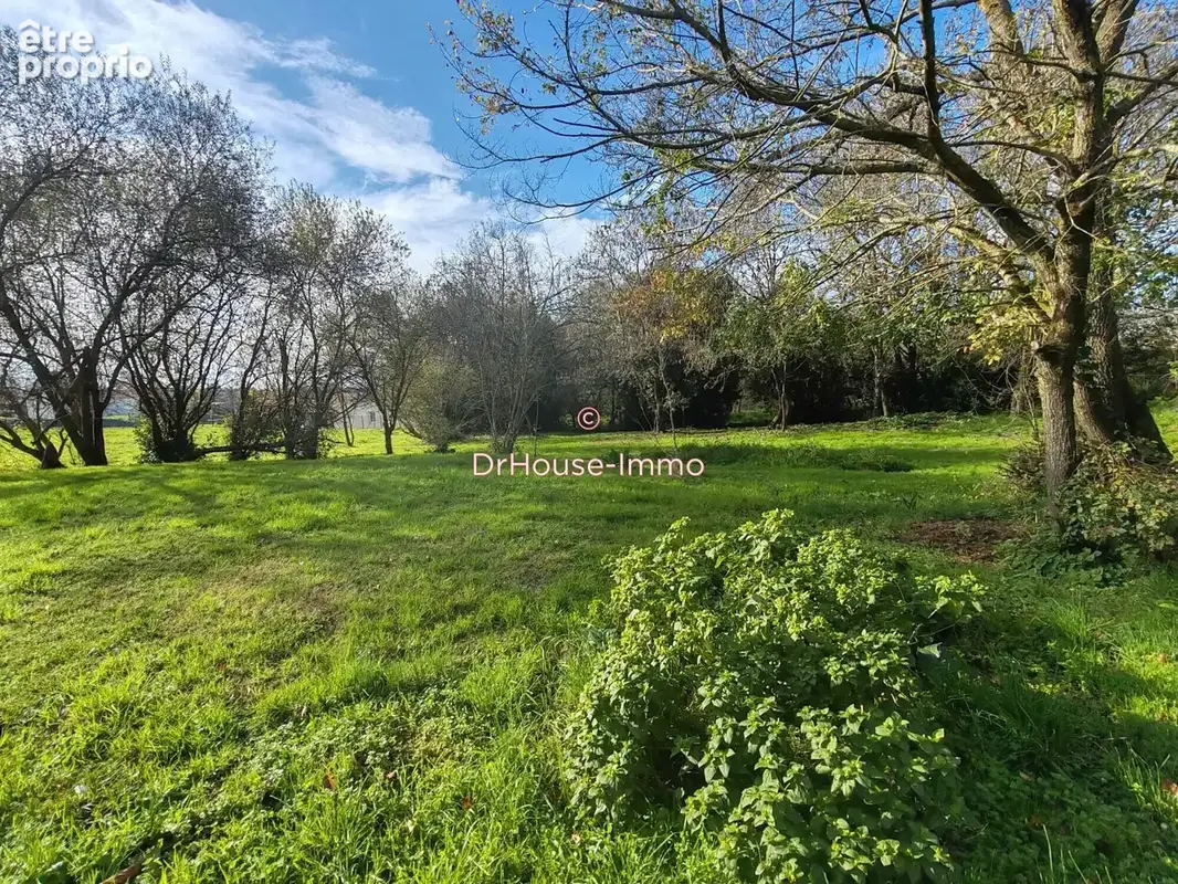 Terrain 4 800 m² à vendre à Saint-Cyr-En-Talmondais (85540) - photo 10