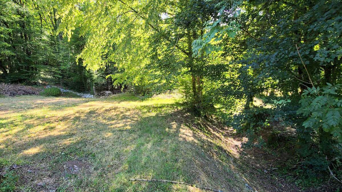 Ancien moulin en pierre, dépendances et près de 1,2 hectare dans un environnement privilégié - photo 16