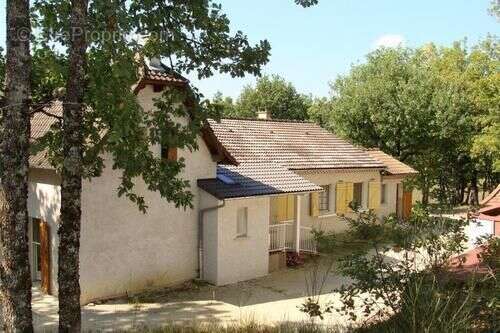 Maison 236 m² à Gignac  - photo 3