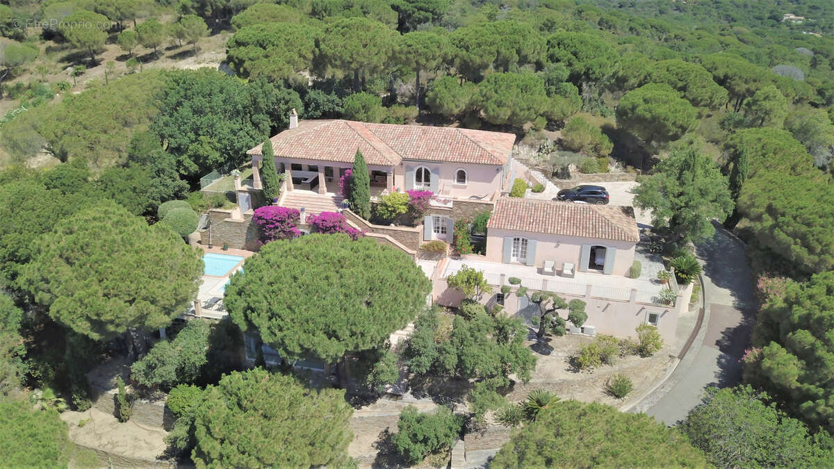 Maison à RAMATUELLE