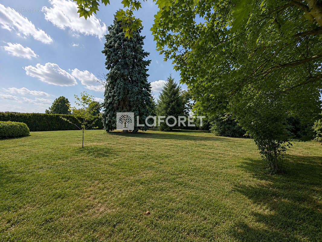 Maison Velesmes Echevanne 8 pièce(s) 299.5 m2 - photo 14