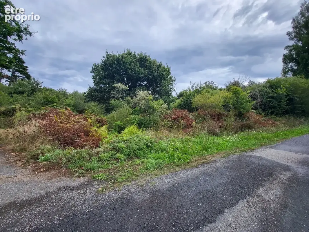 Terrain non constructible à vendre  CROZON (29) - photo 2