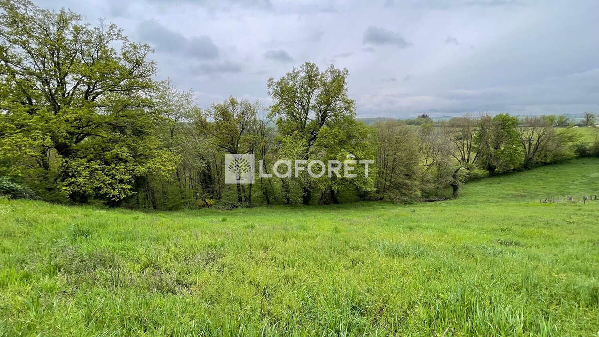 Terrain à SAINT-MEDARD-EN-FOREZ