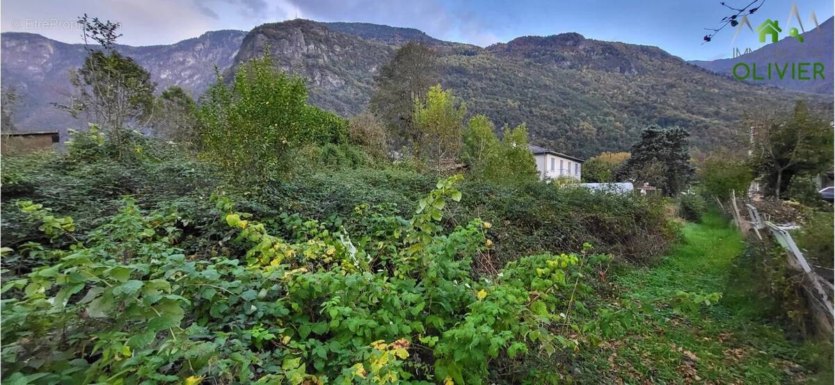 Terrain à SECHILIENNE