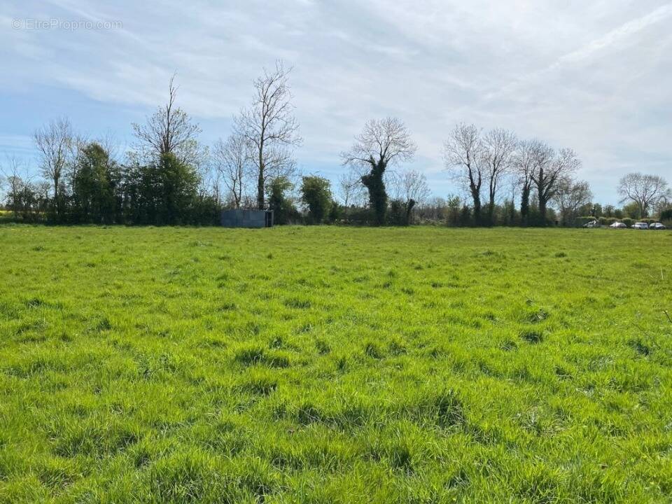 Terrain à NONANT