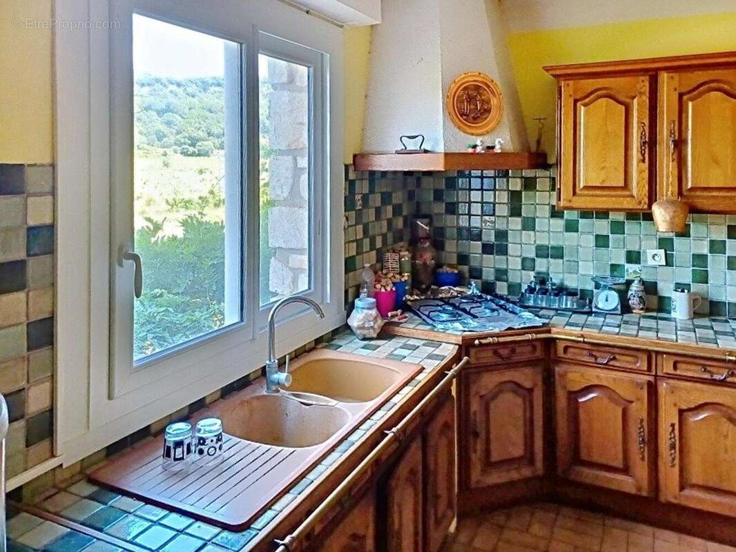 Maison 366 m² à Cornillon  - photo 8