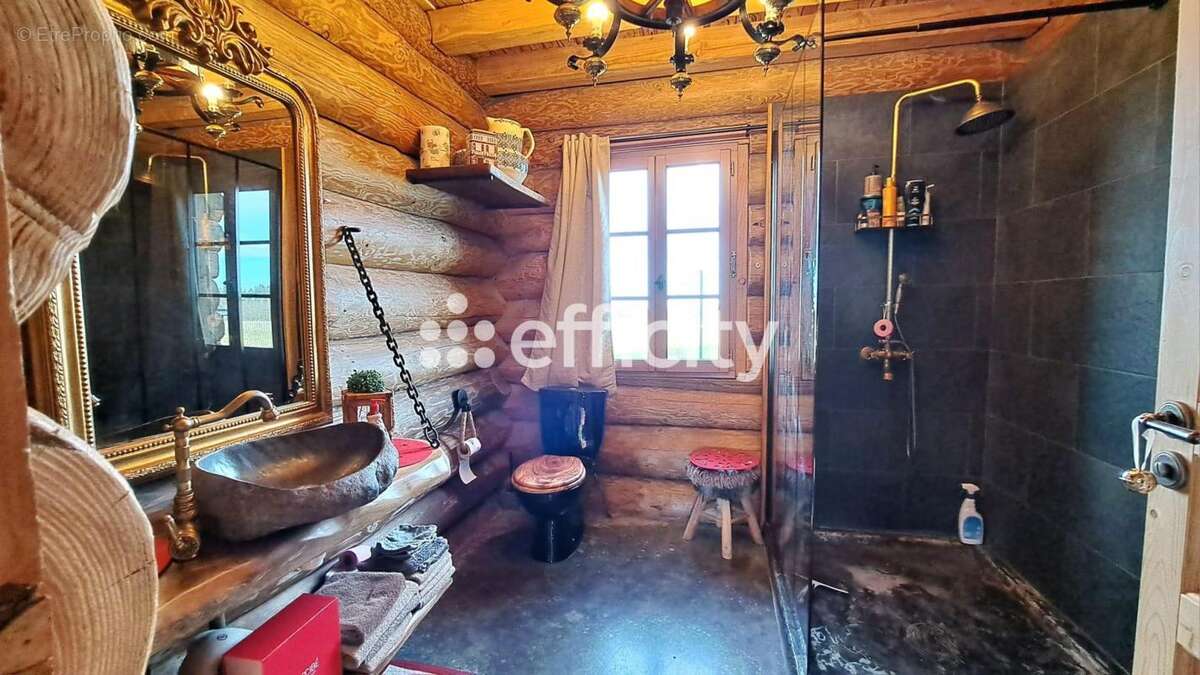 Maison 341 m² à Ger  - photo 8