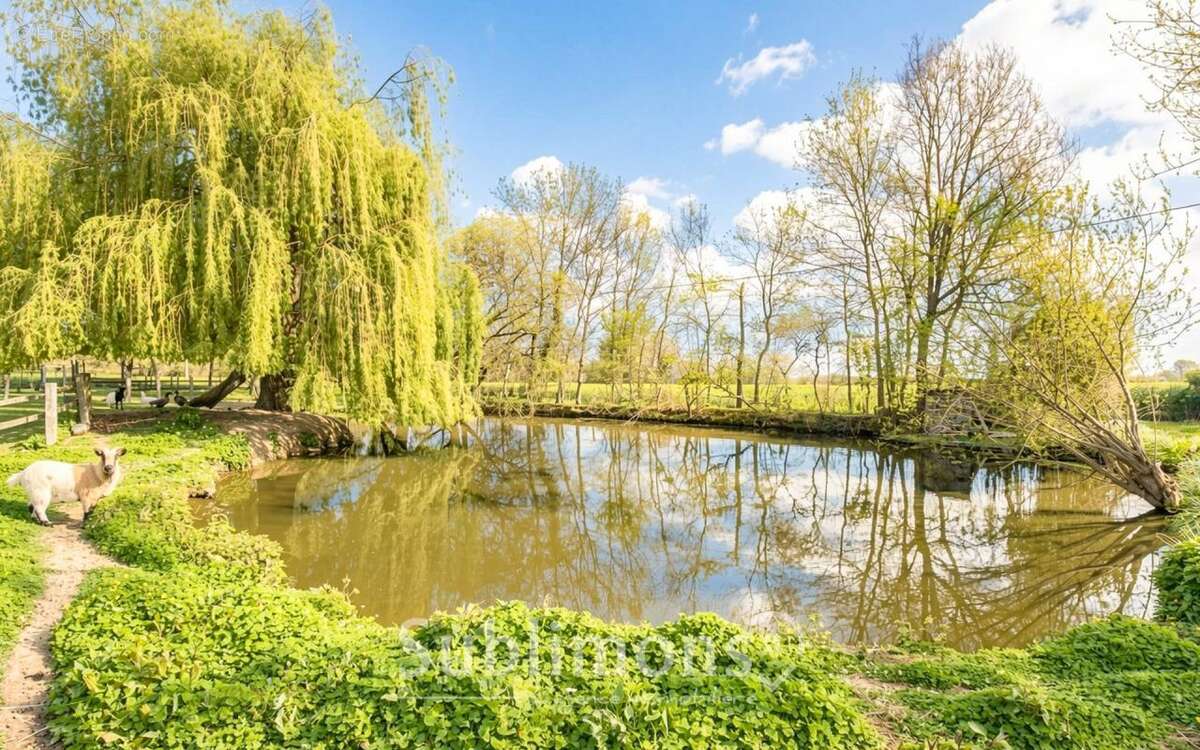 Maison à VERN-D'ANJOU