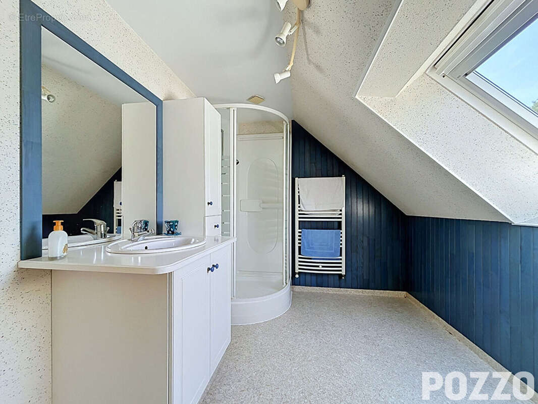 Maison avec grand sous-sol, dépendances de 275 m² et espace bien-être - photo 10