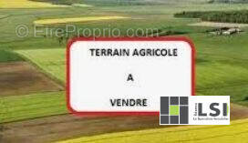 Terrain à LAUSSONNE