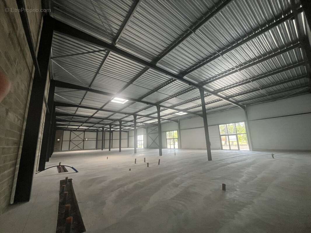 Commerce à BENESSE-MAREMNE