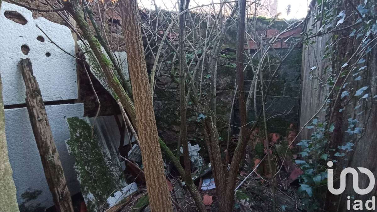 Photo 3 - Maison à BOURNEZEAU