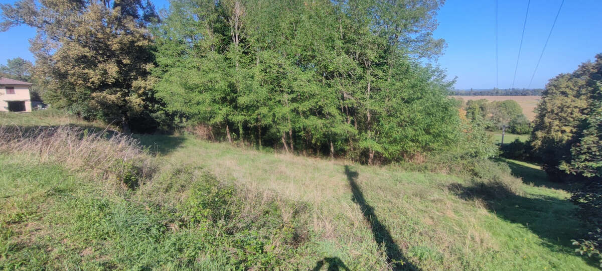 Terrain à VIC-EN-BIGORRE