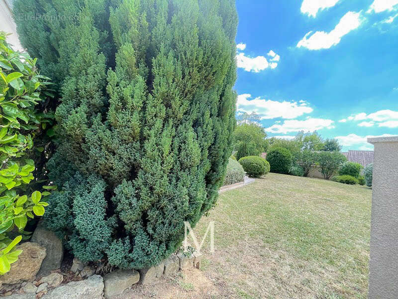 Maison de 120m² à Misy-sur-Yonne - 1460m² de terrain - photo 11