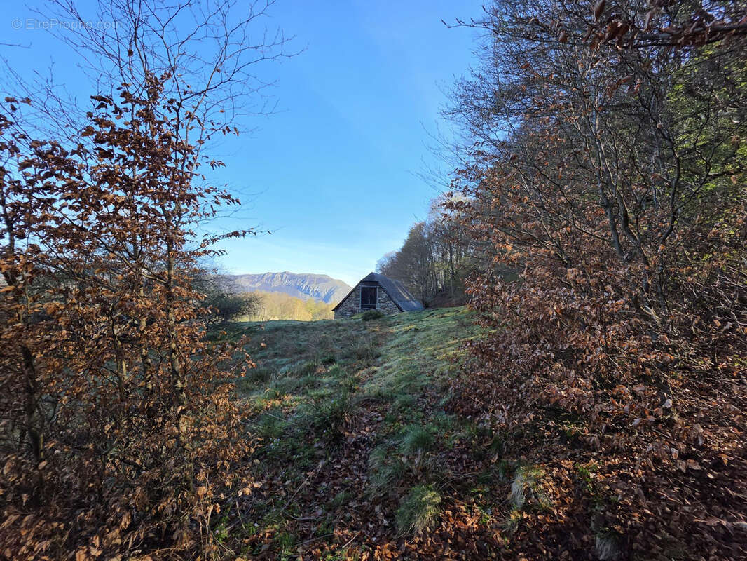 Maison à ARRENS-MARSOUS